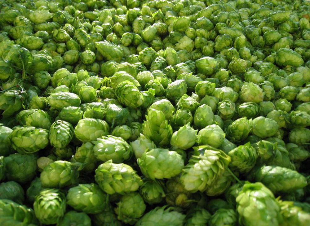 <b>What are the basic requirements of beer brewing water for brewing equipment?</b>